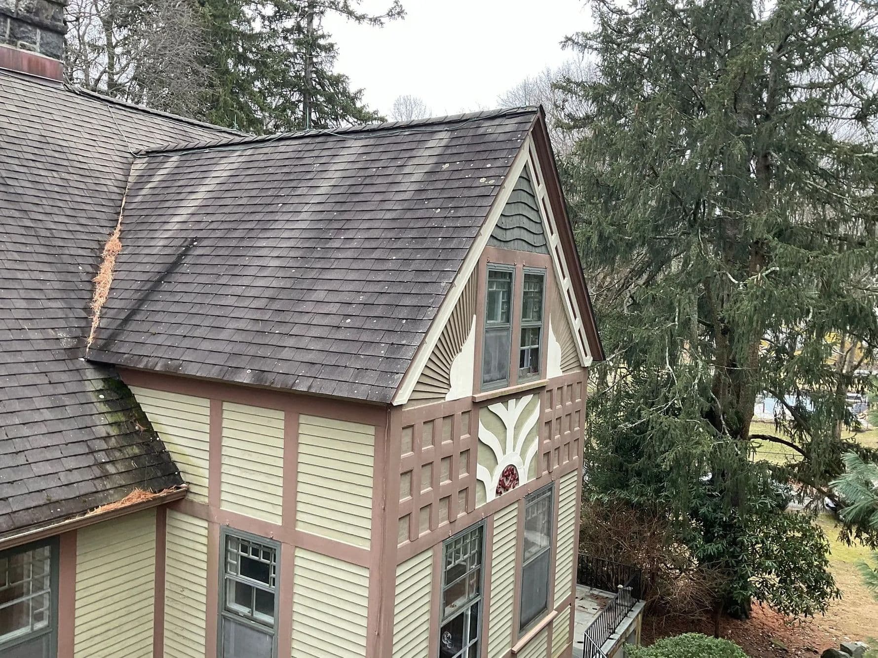 Gabled house with dark streaks on its shingled roof and pine needles collected in a roof valley