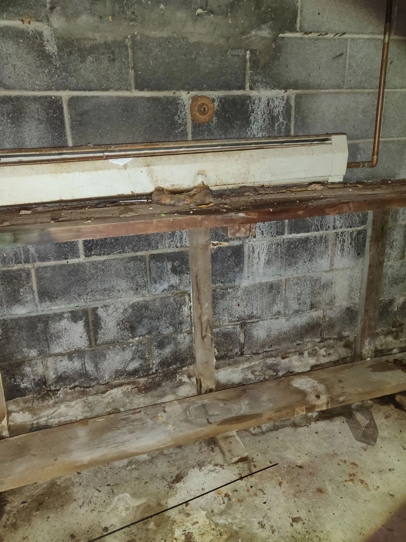 Concrete block basement wall with white mineral deposits and dark staining above deteriorated wood framing at its base