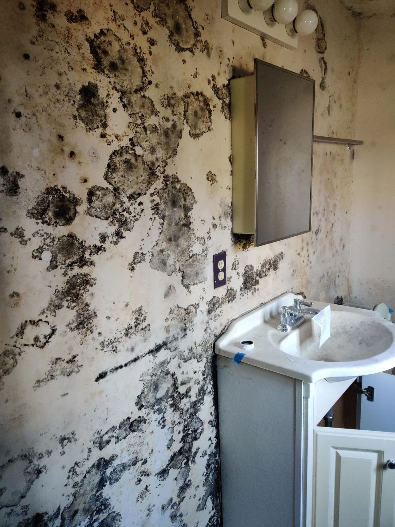 Bathroom wall covered in dark blotches of growth around a medicine cabinet, above a white vanity sink