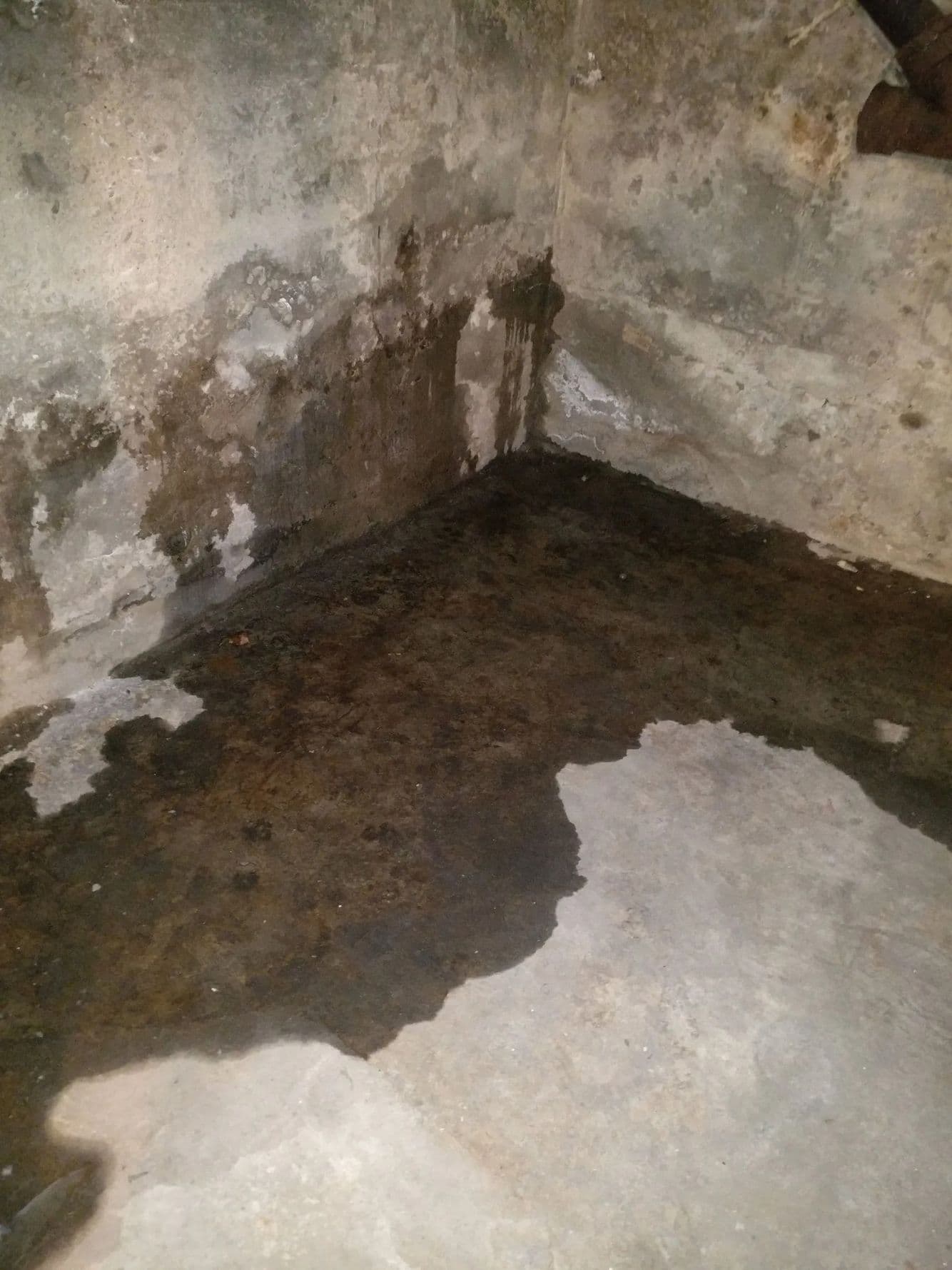 Dark, wet-looking stain spreading across a concrete floor from a corner with streaked walls